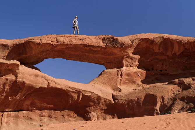 Full-Day 8 Hour Jeep Tour into Wadi Rum Protected Area with Stay - Price and logistics: what you actually get for $72