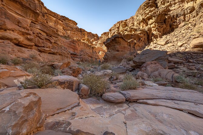 Full-Day 8 Hour Jeep Tour into Wadi Rum Protected Area with Stay - Stop by stop in Wadi Rum: Lawrence’s Spring to Red Sand Dunes