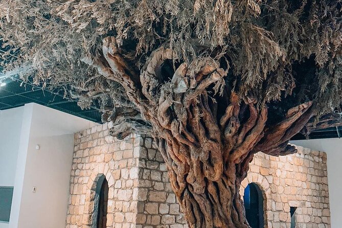 Full Day Amman Private City Tour - The Citadel on Jabal al-Qala: why this is the anchor stop