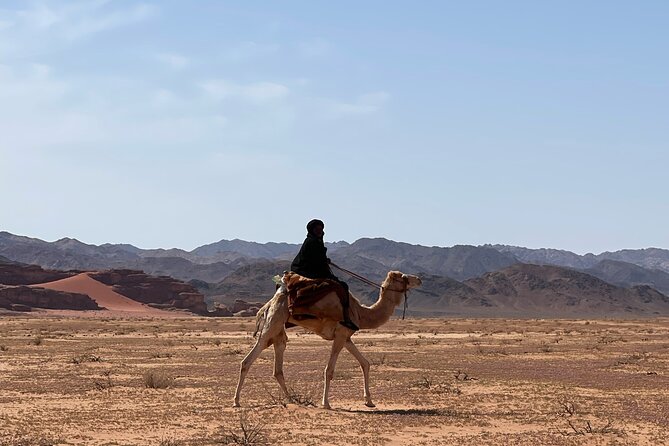 Full-Day Hiking in Wadi Rum's Desert with Lunch - Khazali Canyon and old Bedouin inscriptions