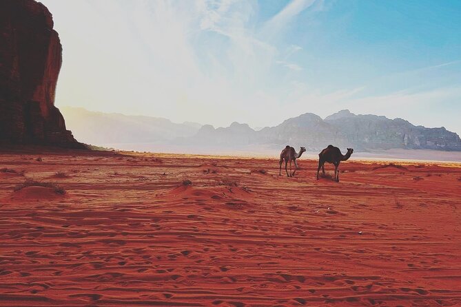 Full Day Jeep and Camel Tour - Al Ramal Red Sand Dune: The Climb-Then-Run Payoff