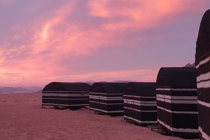 Full Day Jeep Tour and Overnight in Wadi Rum - Khazali Canyon: pink-and-brown shadows plus rock art