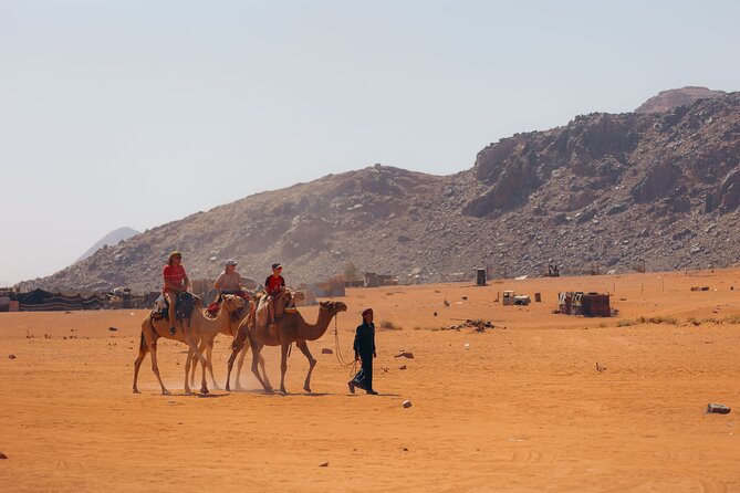 Full Day Jeep Tour in Wadi Rum Desert | Magic Bedouin Star - Lawrence Spring: the spring you can see, then climb above