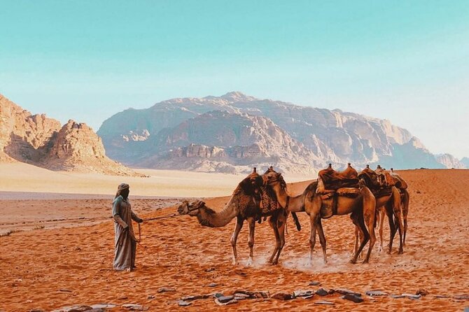 Full Day Jeep Tour with Overnight in Bedouin Camp - Stop-by-stop: how each Wadi Rum moment earns its time