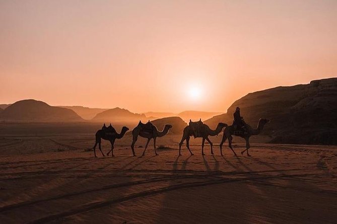 Full Day Jeep Tour with Overnight in beduin Camp Stay! (All Meals Included) - Al Ramal red sand dune: the climb that makes the day feel real