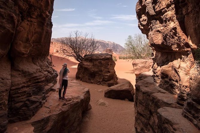 Full Day Jeep Tour with Overnight in beduin Camp Stay! (All Meals Included) - Um Frouth Rock Arch, White Desert, and Mushroom Rock