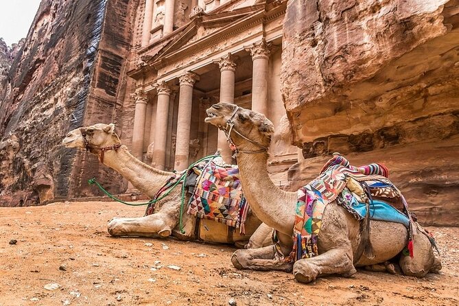Full Day Petra and Wadi Rum Tour from Amman - Lunch in Petra: open buffet, real fueling for real walking