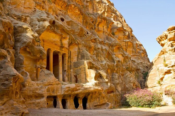 Full Day Petra and Wadi Rum Tour from Amman - Price and tickets: what you are really paying for