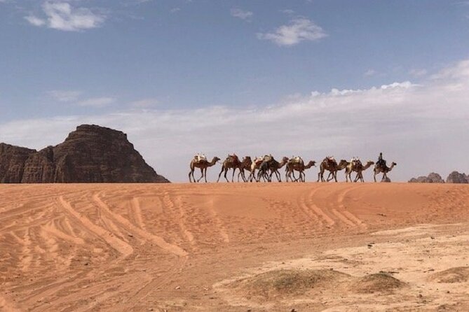 Full-Day Private Tour in Petra with Hotel Pick-Up - More Time to Explore Than a Rushed Sightseeing Day