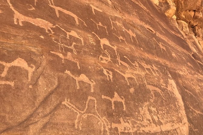 Full-Day Private Tour in Petra with Hotel Pick-Up - Price and Value: Why $142.50 Can Make Sense for a Private Petra Day