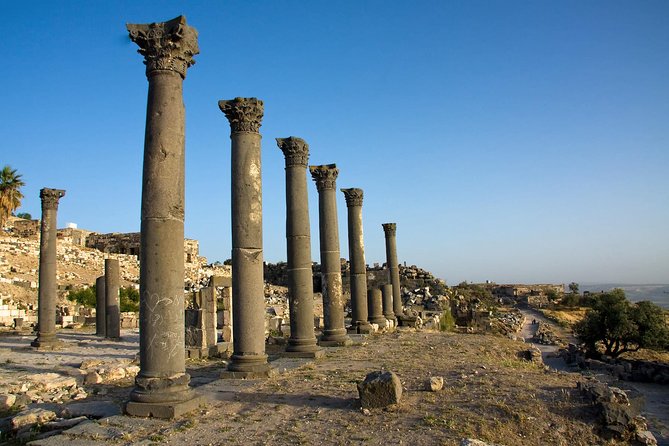 Full-Day Tour: Umm Qais, Jerash, and Ajloun from Amman - Price and Value: What $89 Buys You (And What It Does Not)