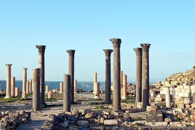 Full-Day Tour: Umm Qais, Jerash, and Ajloun from Amman - The Driving Experience: Why the Right Driver Can Save Your Whole Day