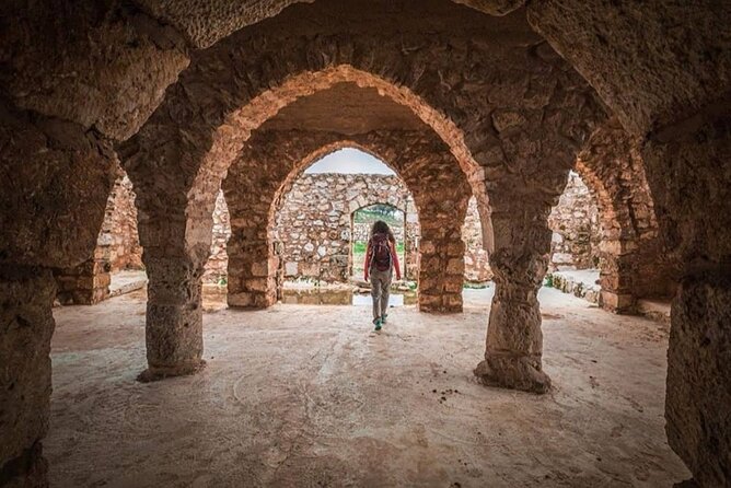 Full Day Umm Qais, Ajloun & Jerash - Jerash’s colonnaded streets and oval plaza: where Roman planning feels real