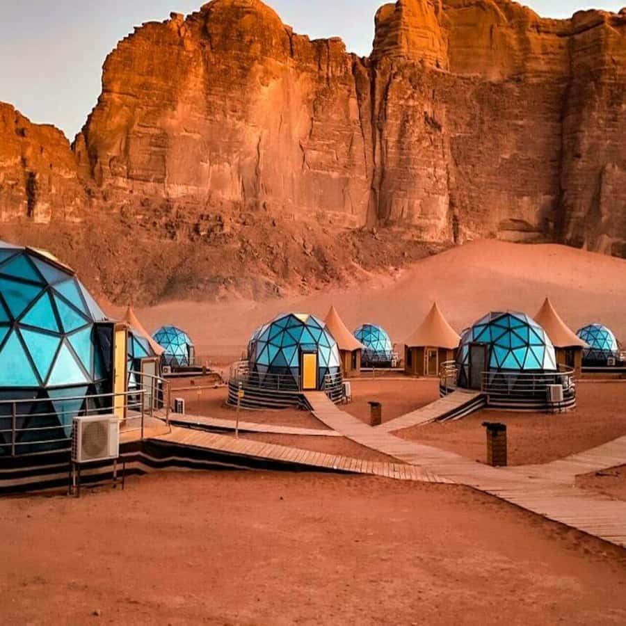 Full-Days Tours Petra from Amman - Who this Petra from Amman tour suits best