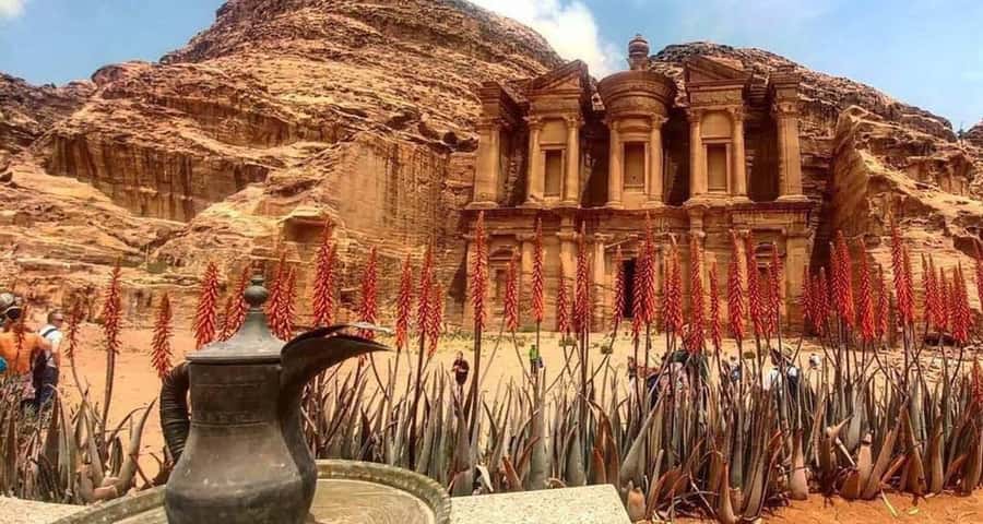 Full-Days Tours Petra from Amman - The ride out: 240 km, a break stop, and Wi-Fi for sanity