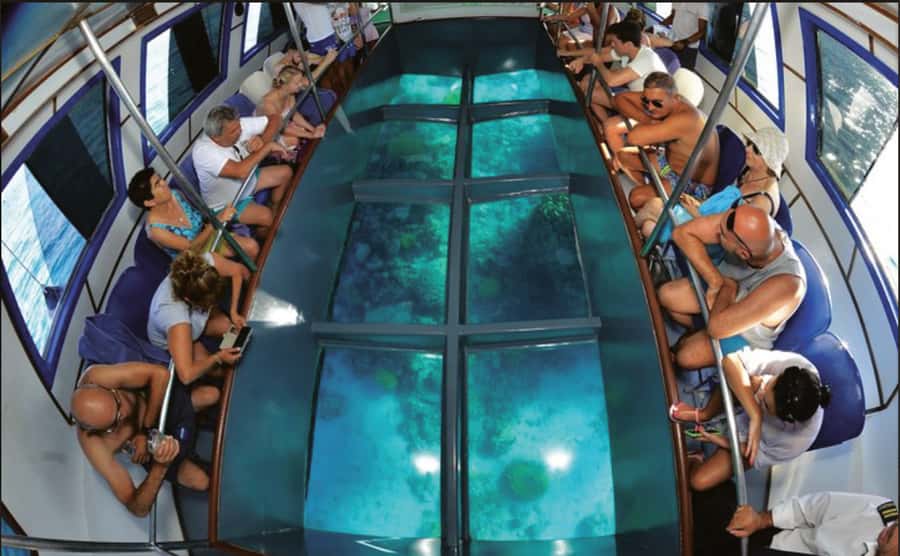 Glass Boat & Snorkeling with day use of Berenice Beach Club - Key Things That Make This Trip Worth Your Time