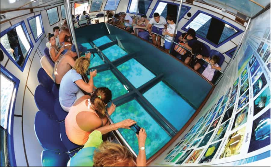 Glass Boat & Snorkeling with day use of Berenice Beach Club - The Aqaba Underwater Highlights You’re Paying For