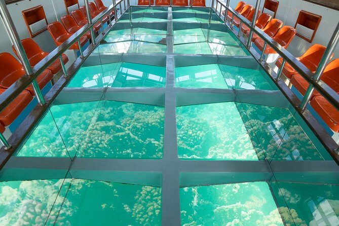 Glass-Bottom Boat 2-hours Tour and Coral-Reef Viewing from Aqaba - Key Things I’d Focus On Before Booking