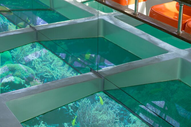Glass-Bottom Boat 2-hours Tour and Coral-Reef Viewing from Aqaba - Timing and Small Snags to Plan For