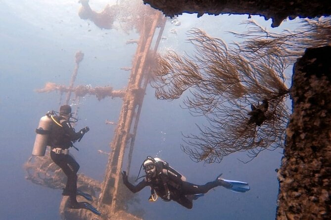 Guided Scuba Diving Adventure in Aqaba - Key things that make this Aqaba scuba session worth your time