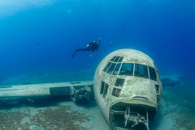 Guided Scuba Diving Adventure in Aqaba - Meeting Hammerhead in Aqaba, then getting ready fast