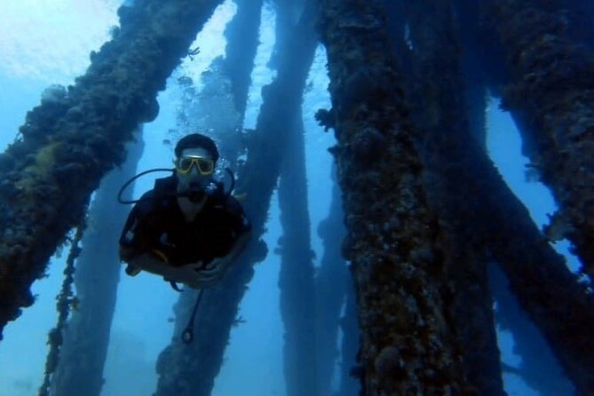 Guided Scuba Diving Adventure in Aqaba - Who this is best for, and who should be cautious