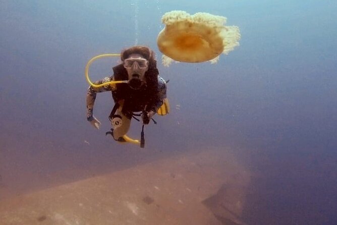Guided Scuba Diving Adventure in Aqaba - Pickup, timing, and how the 2.5 hours usually works