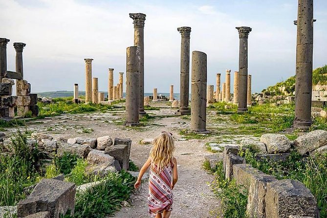 Half Day Private Tour From Amman To Jerash - A Private 5 Hour Jerash Trip That Fits Real Schedules