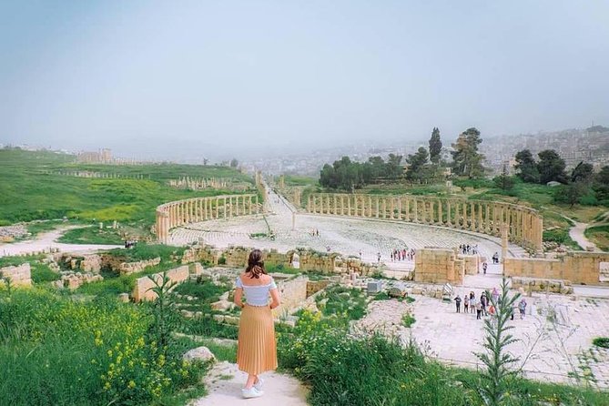 Half Day Private Tour From Amman To Jerash - The Driver Experience: Clean Car, Good English, Real Help