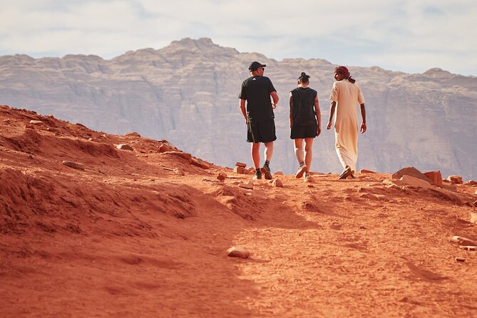 Jeep Tour in Wadi Rum with Professional Guide (Full day) - The Wadi Rum Protected Area: where you go for dunes, canyons, and the famous spots