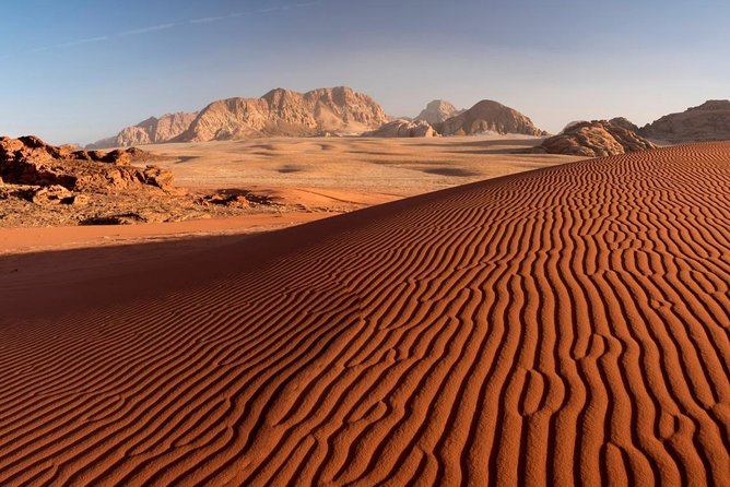 Jeep Tour in Wadi Rum with Professional Guide (Full day) - Optional camel ride: is it worth it, and how much extra it costs