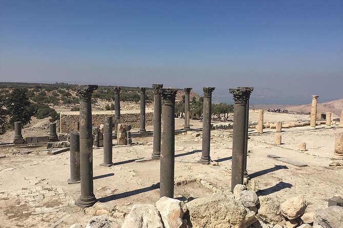 Jerash Ajloun and Umm Qais Private Tour - The role of your driver in this private, guide-free style