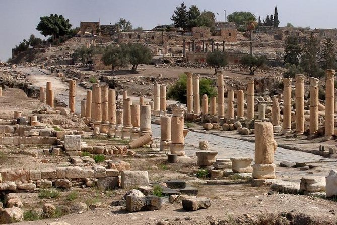 Jerash, Ajloun, and Umm Quais Full-Day Tour - Price and value: What $96 covers, and what you should budget for