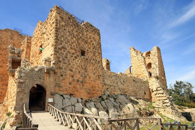 Jerash, Ajloun, and Umm Quais Full-Day Tour - Drivers and the little service details that make ruins easier