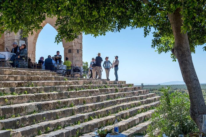 Jerash, Ajloun & Umm Qais Private tour - Pickup, Comfort, and the Real Meaning of Private Transport