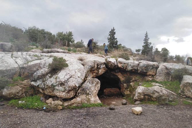 Jerash, Umm Qais, Cave of Jesus From Amman - Who should book this tour, and who might prefer something else