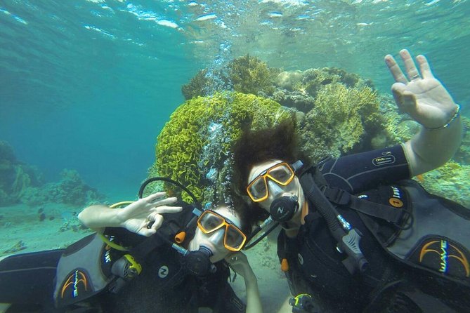 Jordan Group Tour - Dead Sea Morning from Aqaba: Lowest Point, Lunch, and a Private Beach