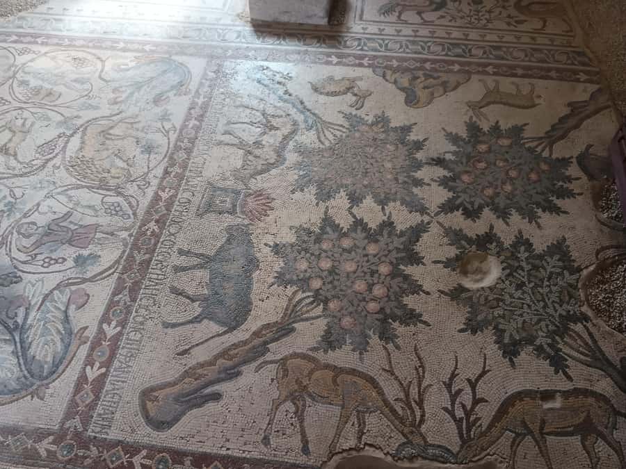 Jordan Mosaic Wonders: Umm ar-Rasas, Madaba & Mount Nebo - Price and value: what you get for about $71 per person