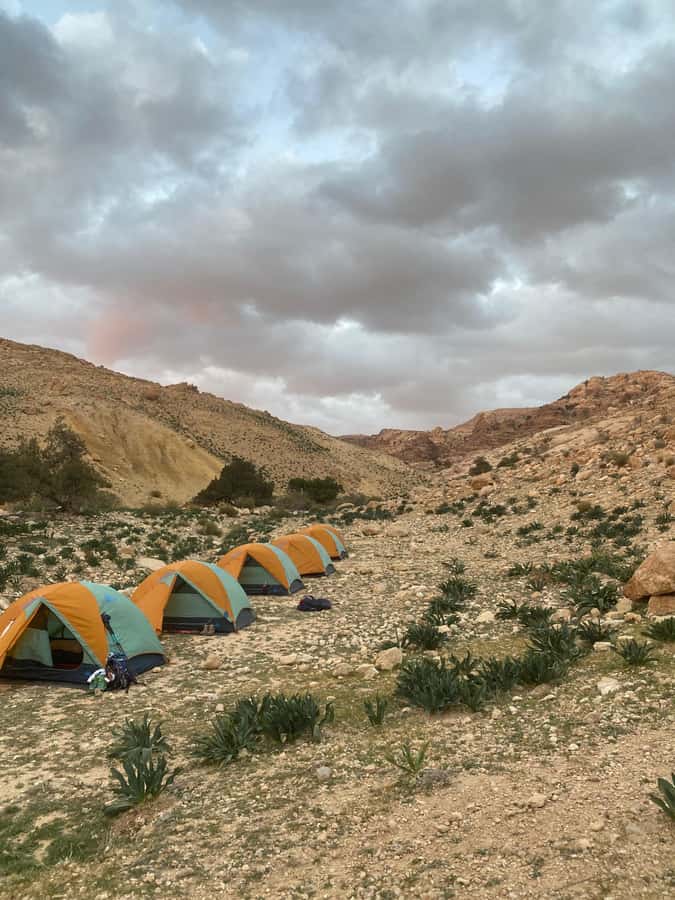 Jordan Trail: Dana to Petra 4-Day Trekking Tour - The big finale: Little Petra, then Petra via a hidden back trail