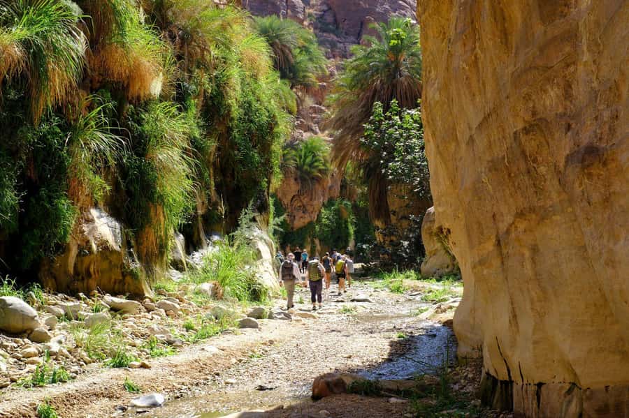 Jordan Trail: Dana to Petra 4-Day Trekking Tour - Guides, safety, and how to judge fit before you go