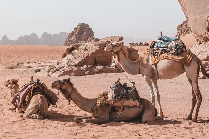 Jordan Travel Planning Services | The Jordanian Mappers - A flexible multi-day route you can assemble (without overthinking it)