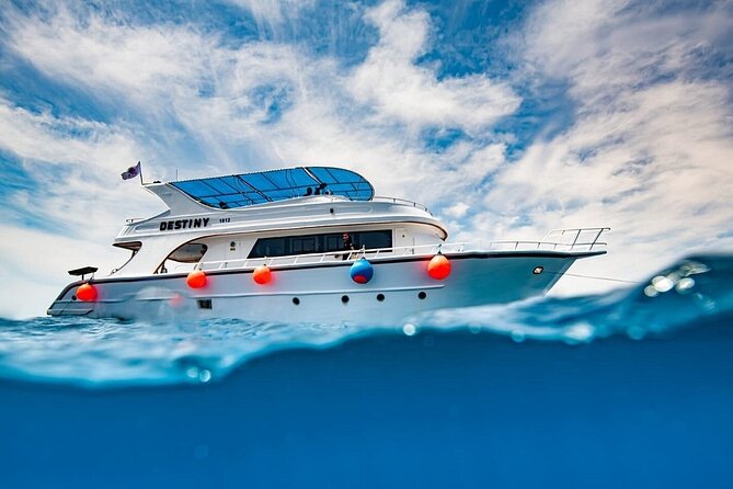 Journey of Diving or Snorkelling from a Boat - Key highlights at a glance