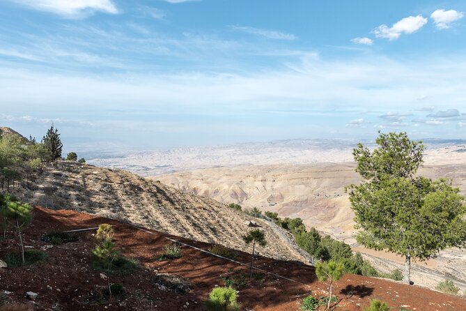 Madaba and Mount Nebo tour from Amman - Should you book this Madaba and Mount Nebo tour?