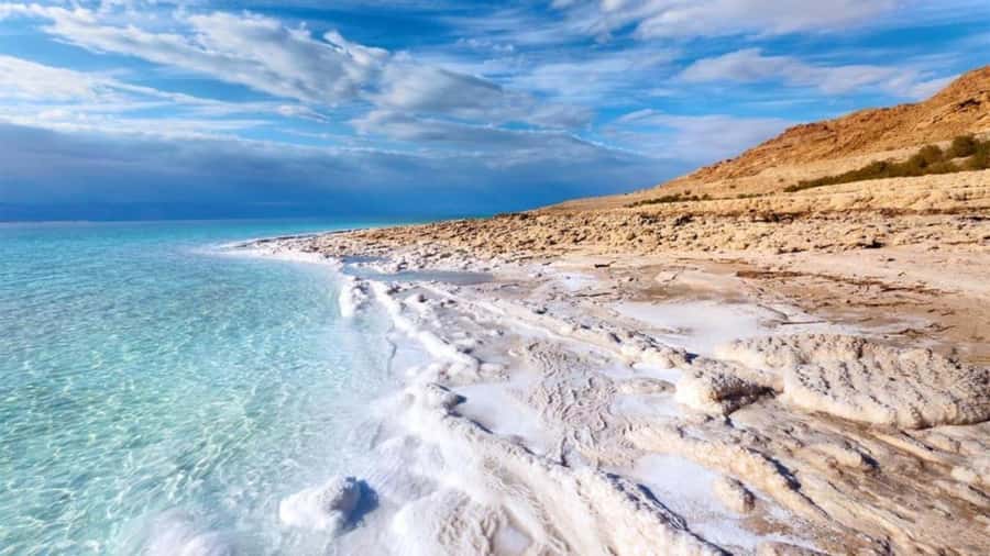 Madaba, Mount Nebo & Dead Sea Private day Tour - Dead Sea resort time, floating, mud therapy, and lunch with a view