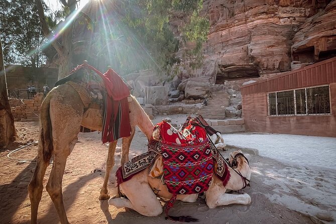 Nabatean Nights Stay in Petra Jordan - Bedouin Village with Tour - Who This Tour Fits Best, and Who Might Want to Pass