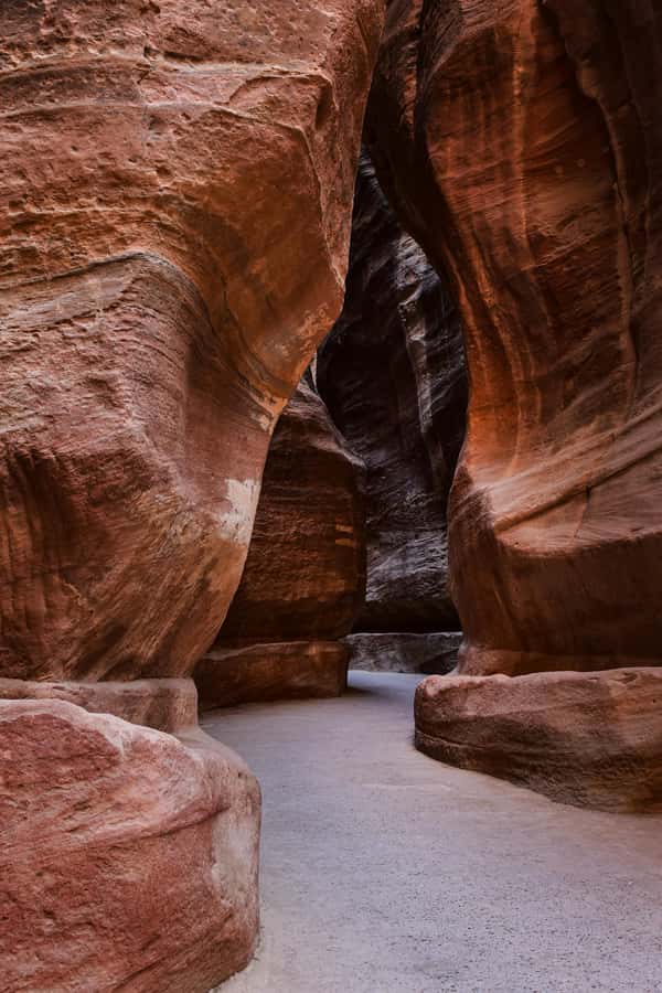 One Day Tour from Aqaba - Petra and Wadi Rum - Aqaba - Key things to know before you go