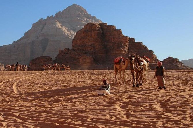 One Day Tour to Wadi Rum From Amman - What the Bedouin-driven 4x4 feels like in the canyons