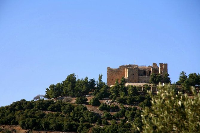 One Day Trip to Jerash & Ajloun Castle - The Real Payoff: Jerash Plus Ajloun in One Organized Day