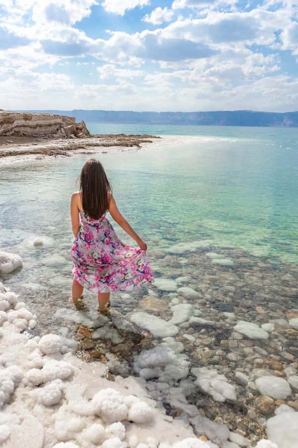 Petra and Dead Sea Private Day Tour From Amman - Who this private day tour suits best