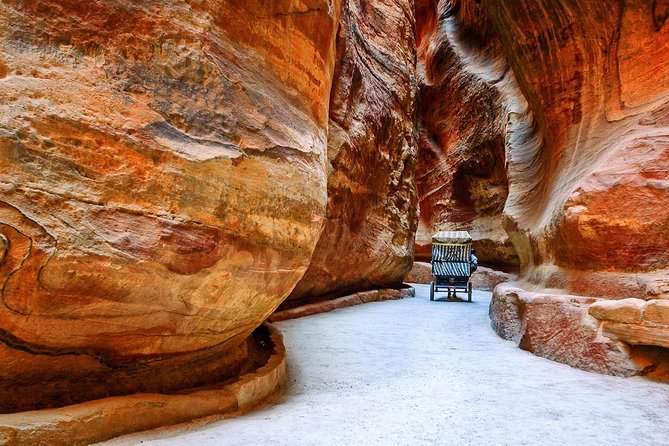Petra and Wadi Rum Day Trip from Amman - What you actually get for the price, and how it stacks up